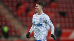 Verlässt Matthew Hoppe den FC Schalke 04?