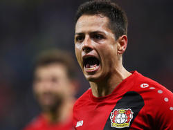 Bleibt Javier Hernández doch in Leverkusen?