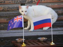 Achille contempla las banderas de Nueva Zelanda y Rusia. (Foto: Imago)