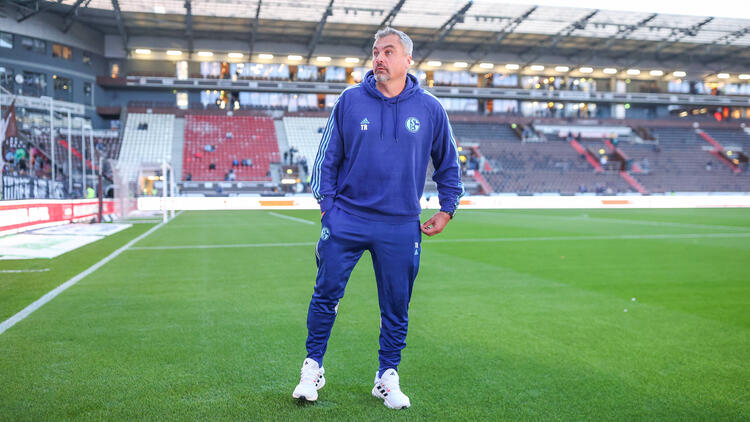 Thomas Reis gilt als heißer Kandidat beim 1. FC Köln