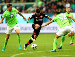 Bayer Leverkusen feiert wichtigen Sieg in Wolfsburg