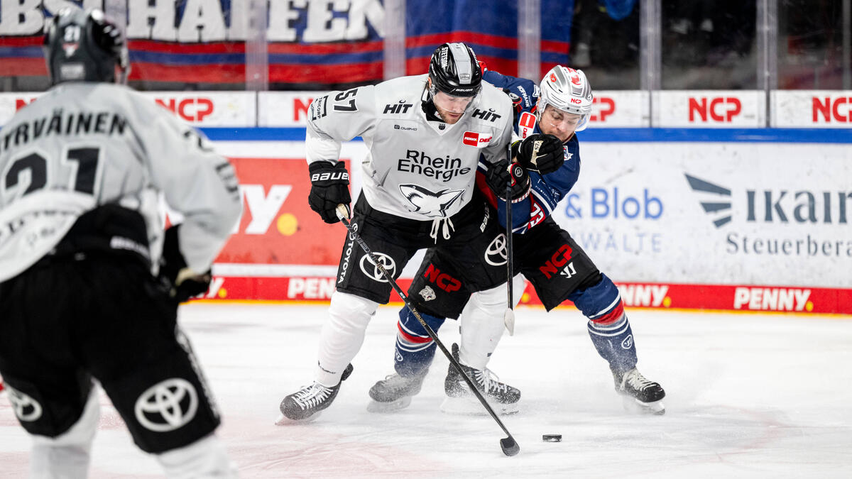 Die Kölner Haie verpassen den Sieg in der DEL