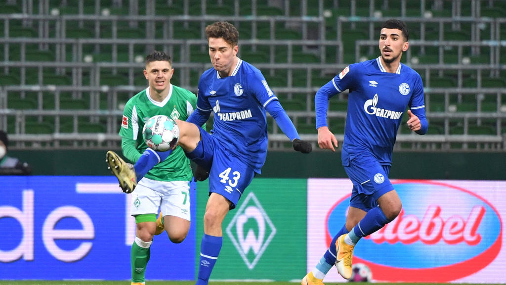 Matthew Hoppe (l.) überzeugt beim FC Schalke 04 Matthew Hoppe (l.) überzeugt beim FC Schalke 04