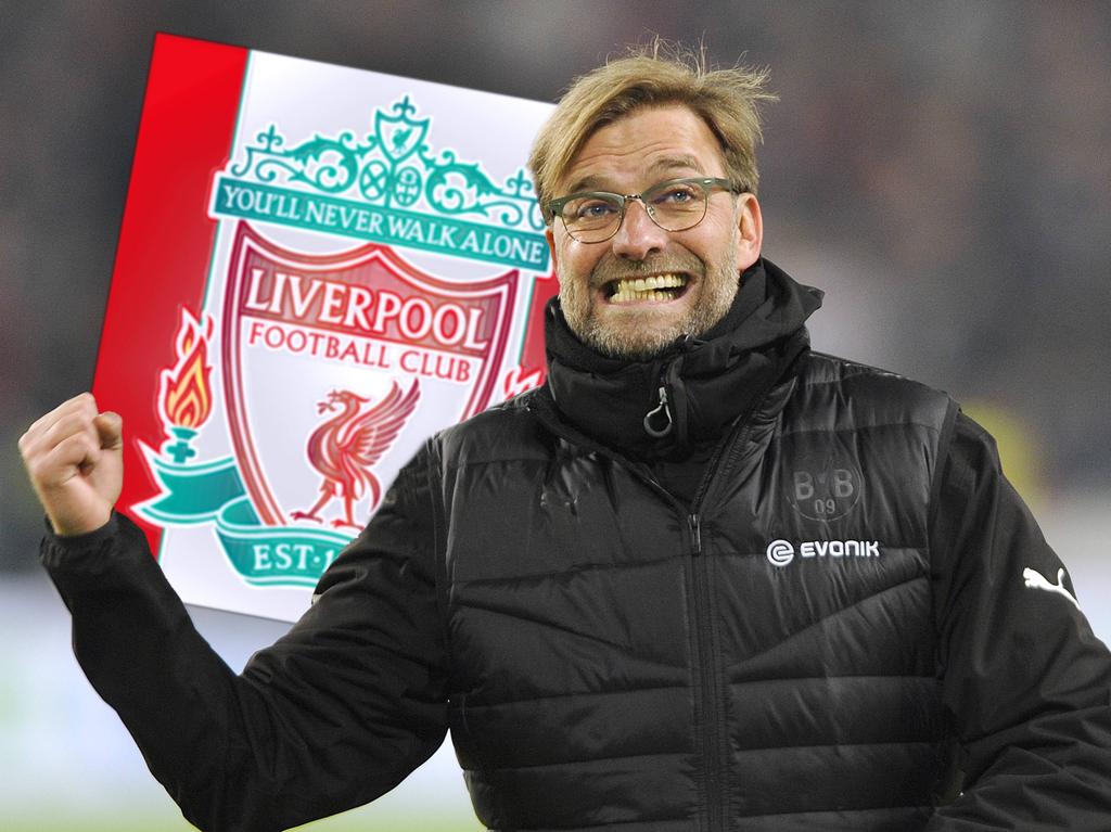 Ferguson hält Klopp für denkbar beim FC Liverpool
