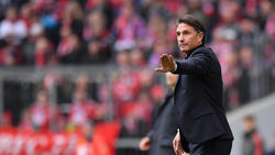 Wird Bruno Labbadia beim VfL Wolfsburg zur Lame Duck?