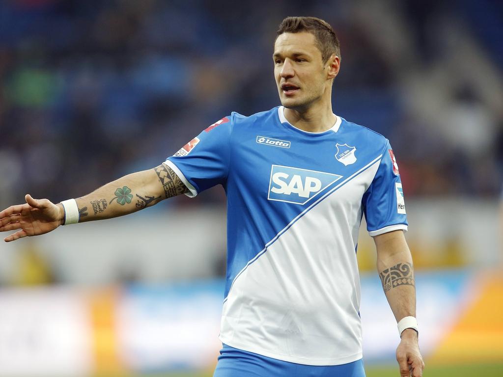 Glaubt an seinen Ex-Klub Hoffenheim: Sejad Salihović