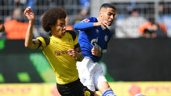 BVB vor dem Revierderby in der Krise, FC Schalke 04 obenauf