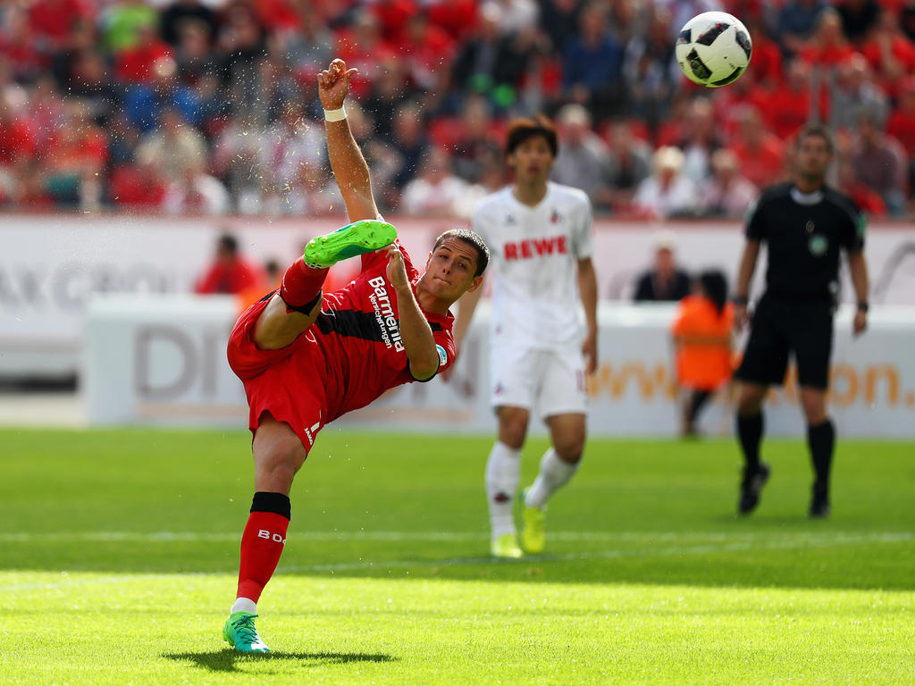 Javier Hernández könnte Bayer 04 Leverkusen zur nächsten Saison verlassen