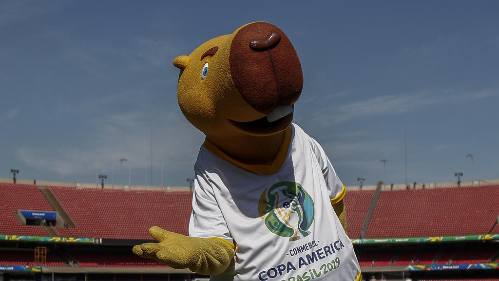 Zehn Verbände gehören der CONMEBOL an, die Copa América wird aber unter zwölf Teams ausgespielt