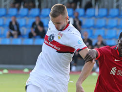 Beim VfB Stuttgart macht man sich keine Sorgen um einen Abgang von Saša Kalajdžić