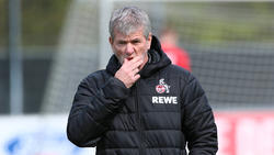Friedhelm Funkel soll den 1. FC Köln vor dem Abstieg bewahren