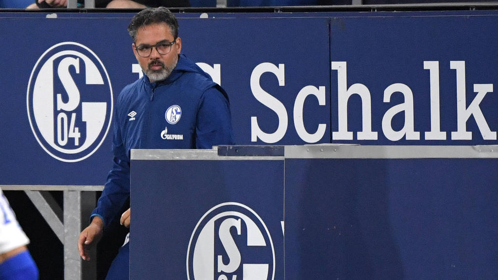 David Wagner strich beim FC Schalke 2,4 Millionen Euro jährlich ein