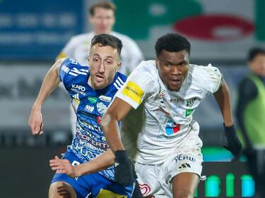 Hartberg und der WAC kämpfen um den Titel