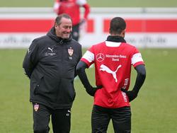 Huub Stevens houdt een praatje met Daniel Didavi tijdens de training van zijn team VfB Stuttgart. (02-12-14)