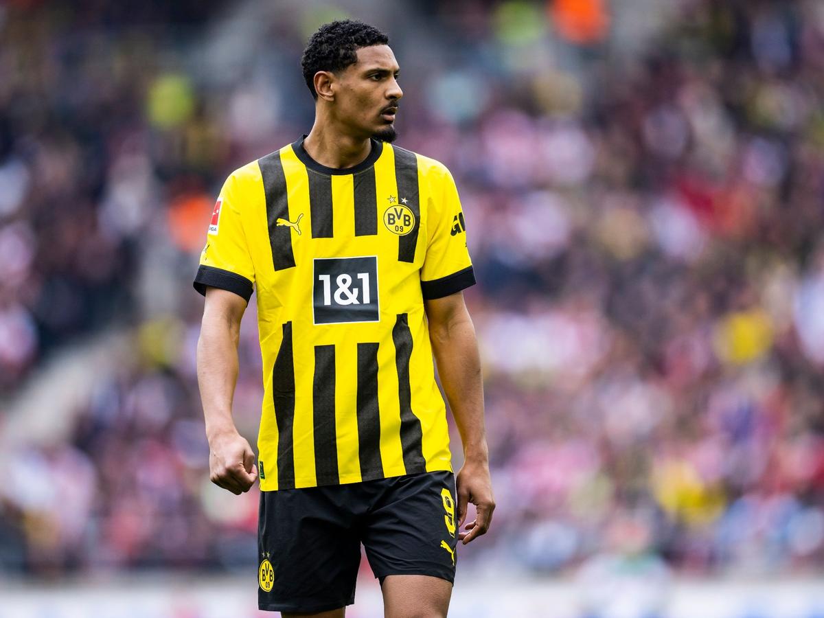 Sebastien Haller und drei weitere Profis waren in dieser Saison an Hodenkrebs erkrankt