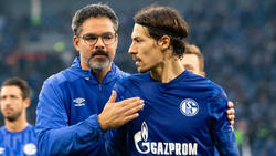Benjamin Stambouli nie wieder für den FC Schalke 04?