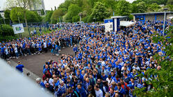 Schalke-Fans am Einlass zur Veltins-Arena