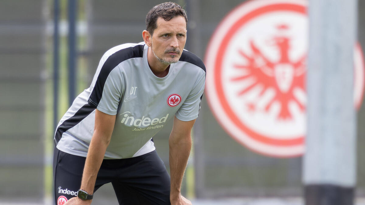 Eintracht Frankfurt: Dino Toppmöller wehrt sich und stellt Gerüchte richtig
