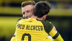 Paco Alcácer und Marco Reus überragen beim BVB