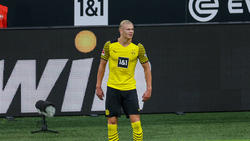 BVB-Star Erling Haaland hätte durchaus auch beim FC Bayern landen können, meint Ralf Rangnick