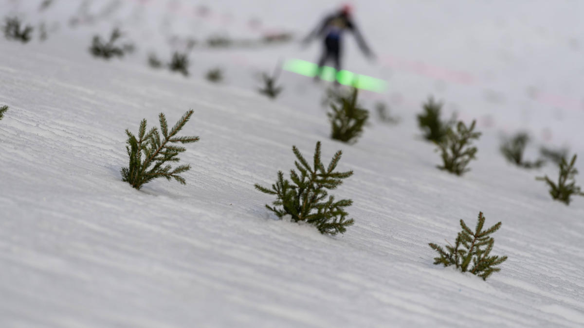 Der DSV will seine Athleten bestmöglich schützen Der DSV will seine Athleten bestmöglich schützen