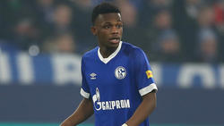 Rabbi Matondo ist der neue Hoffnungsträger des FC Schalke 04