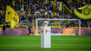Im Dortmunder Stadion steigt ein Benefizspiel gegen Dynamo Kiew