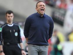 André Breitenreiter bittet die Fans in Hannover um mehr Unterstützung