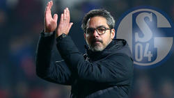 David Wagner ist der neue Trainer des FC Schalke 04