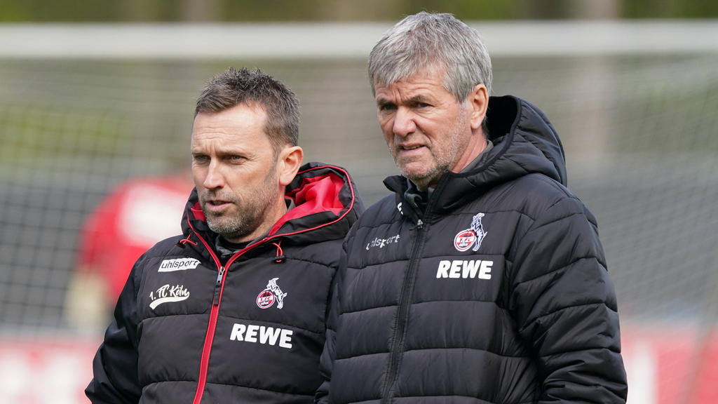 Friedhelm Funkel soll den 1. FC Köln retten