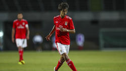 Joao Félix ist angeblich im Fokus des FC Bayern