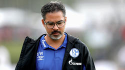 David Wagner hat beim FC Schalke eine Mammutaufgabe vor sich