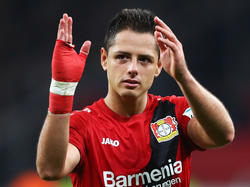 Steht Chicharito bei Bayer vor dem Absprung?