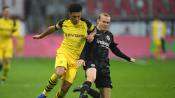 Sebastian Rode soll fest vom BVB zu Eintracht Frankfurt wechseln