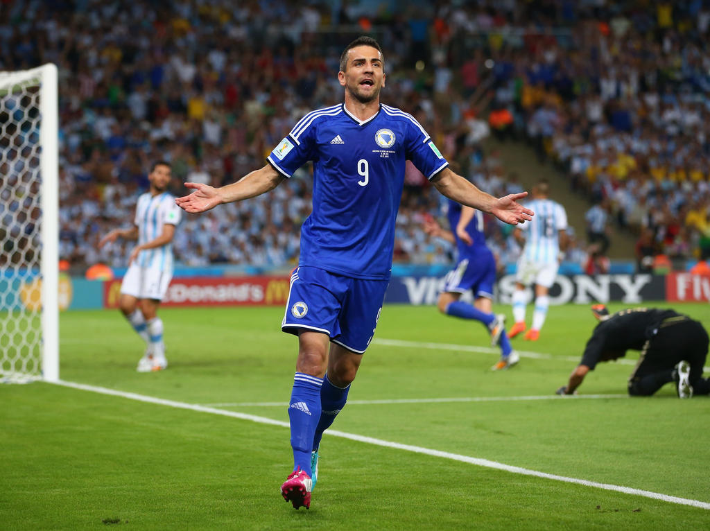 Vedad Ibisevic Vedad Ibisevic
