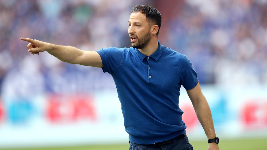 Domenico Tedesco kann sich beim FC Schalke 04 auf hochklassige Neuzugänge freuen