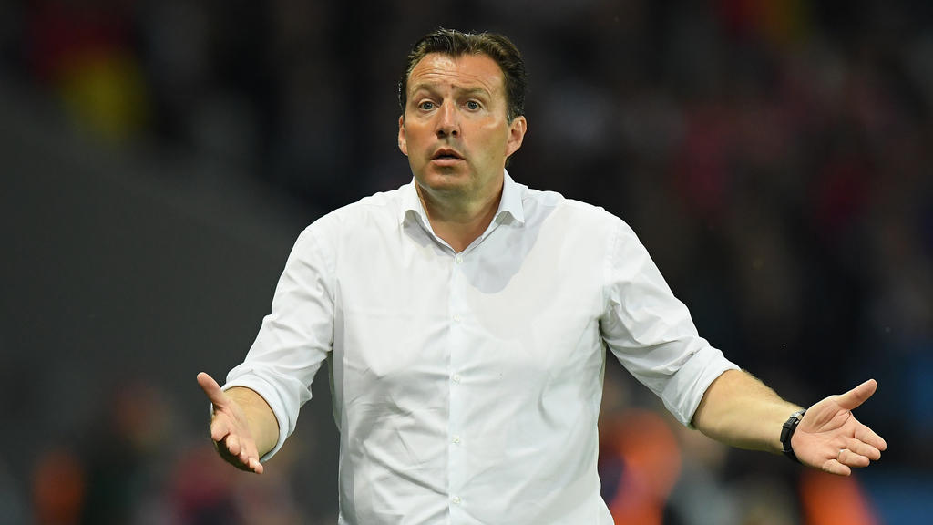 Marc Wilmots hat sich zu den Spekulationen auf Schalke geäußert