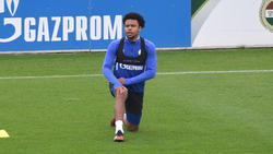 Spielt seit 2016 beim FC Schalke 04: Weston McKennie