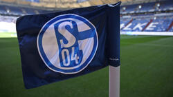 Der FC Schalke 04 braucht einen neuen Trainer