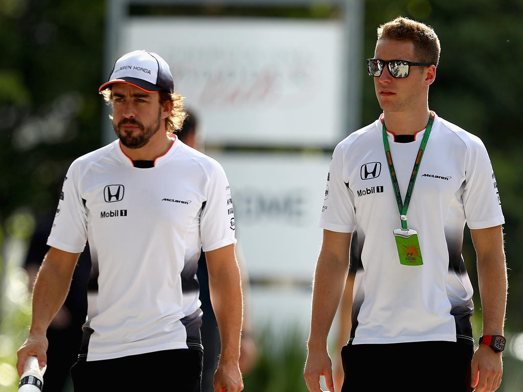 Stoffel Vandoorne (re.) bekommt es in seiner ersten Saison als Stammfahrer mit Fernando Alonso zu tun Stoffel Vandoorne (re.) bekommt es in seiner ersten Saison als Stammfahrer mit Fernando Alonso zu tun