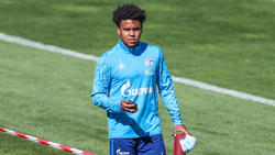Wechselt vom FC Schalke 04 zu Juventus: Weston McKennie