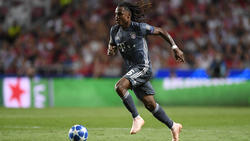 Renato Sanches blüht aktuell im Bayern-Trikot auf