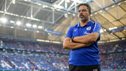 David Wagner hätte gerne mit Breel Embolo zusammengearbeitet