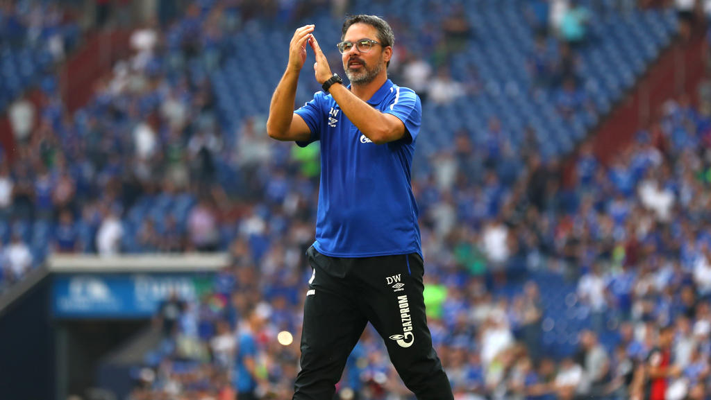 David Wagner hat den FC Schalke zurück in die Spur gebracht