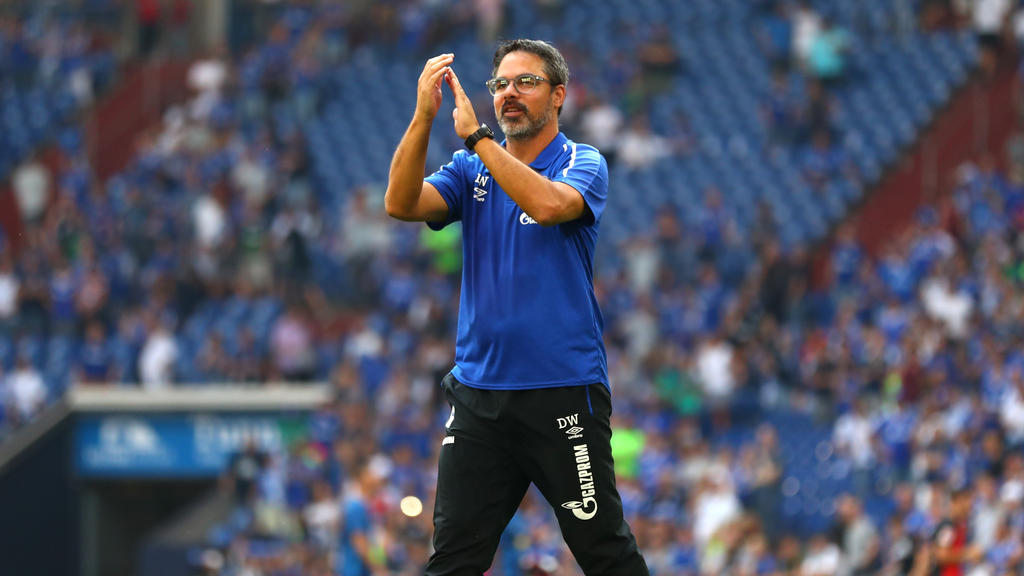 David Wagner erlebt mit dem FC Schalke 04 einen Höhenflug David Wagner erlebt mit dem FC Schalke 04 einen Höhenflug