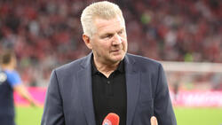 Stefan Effenberg analysiert die Trainersuche des FC Bayern