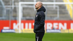 Alexander Schmidt ist neuer Coach von Dynamo Dresden
