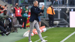 Fordert eine Reaktion von seinen Spielern: Gladbach-Coach Adi Hütter