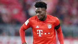 Alphonso Davies ist beim FC Bayern richtig durchgestartet