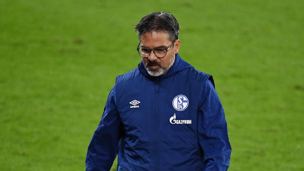 David Wagner war etwas mehr als ein Jahr lang Trainer des FC Schalke 04